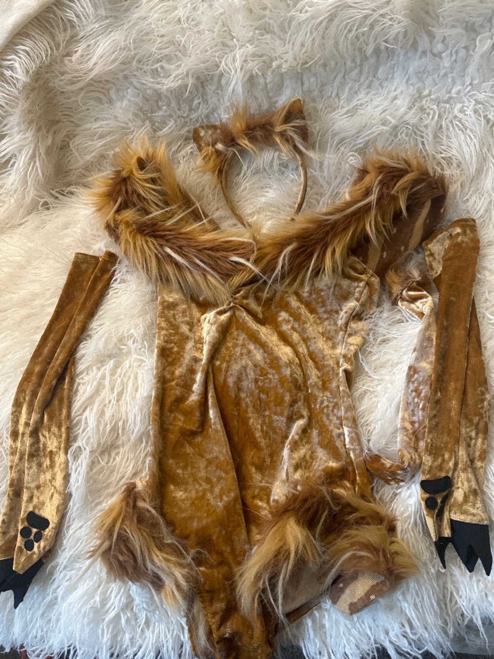 Lions den fashionova costume brand new 3 pieces